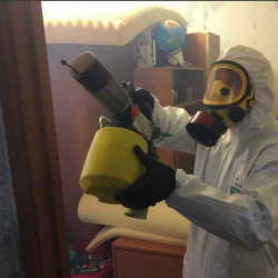 Уничтожение клопов в квартире. поселок Володарского