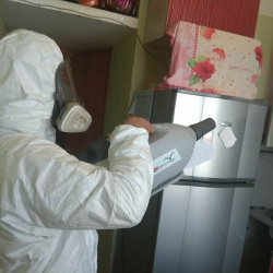Уничтожение насекомых в квартире. поселок Володарского